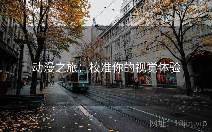 动漫之旅:校准你的视觉体验 动漫之旅:校准你的视觉体验