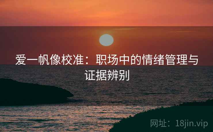 爱一帆像校准:职场中的情绪管理与证据辨别 爱一帆像校准:职场中的情绪管理与证据辨别