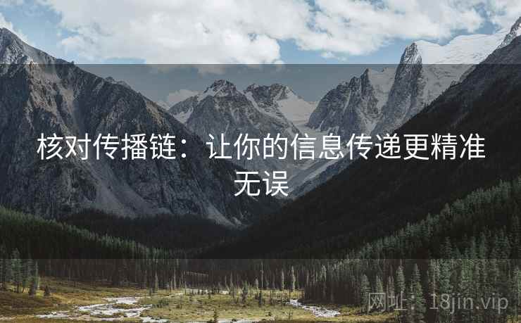 核对传播链：让你的信息传递更精准无误