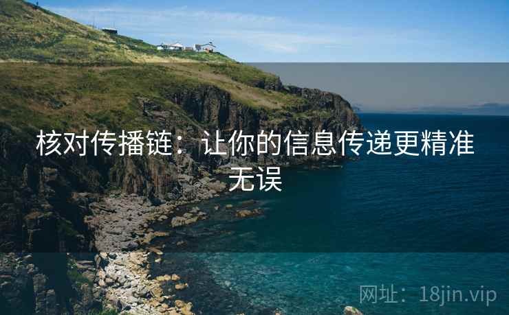 核对传播链：让你的信息传递更精准无误