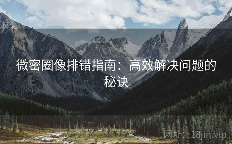 微密圈像排错指南：高效解决问题的秘诀